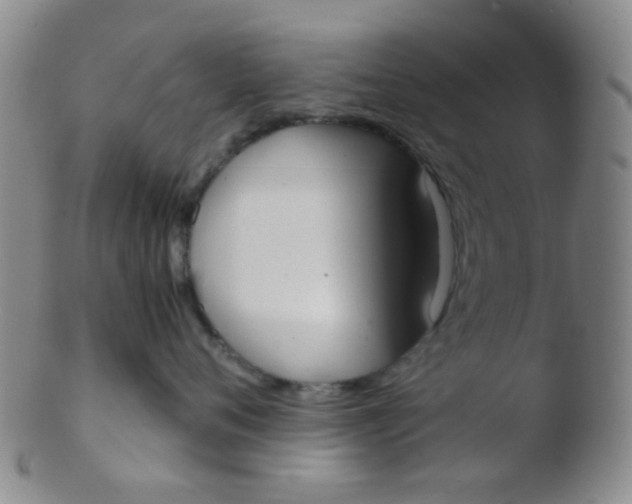 X0000103500720200809262013