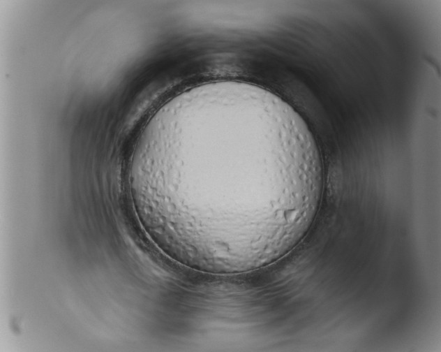 X0000103500722200809262013