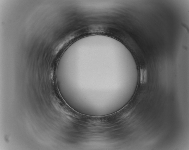 X0000103500723200809262013