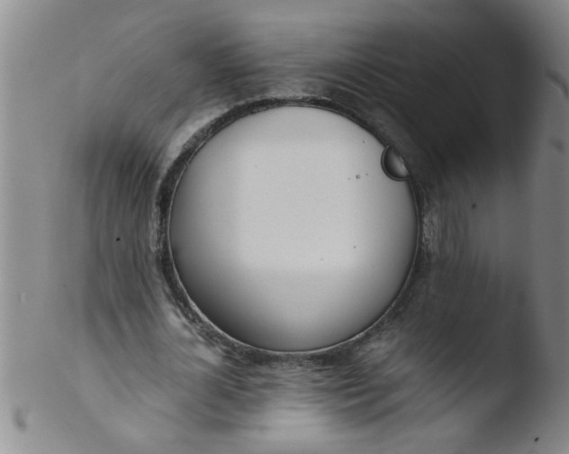 X0000103500724200809262013