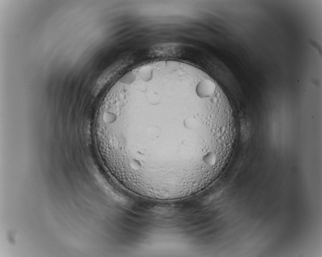 X0000103500725200809262013