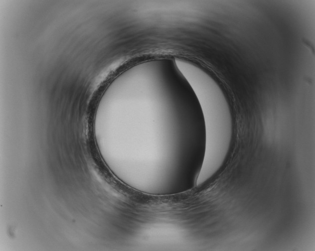 X0000103500726200809262013