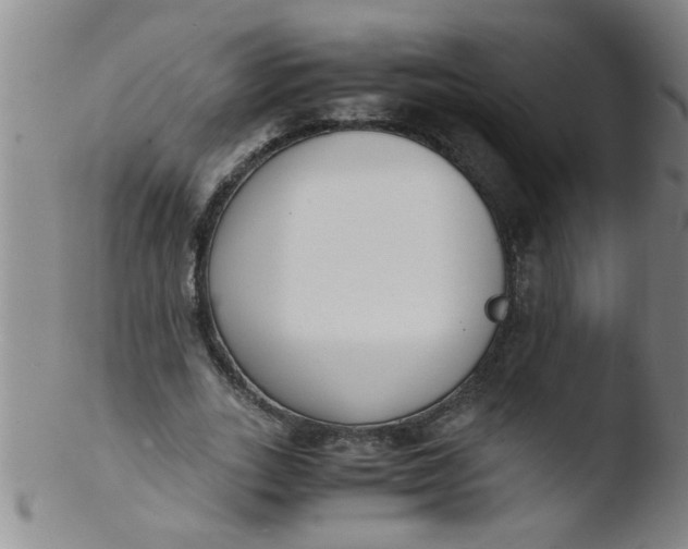 X0000103500727200809262013