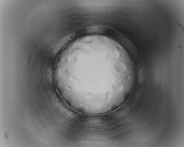 X0000103500729200809262013