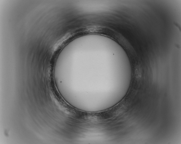 X0000103500730200809262013