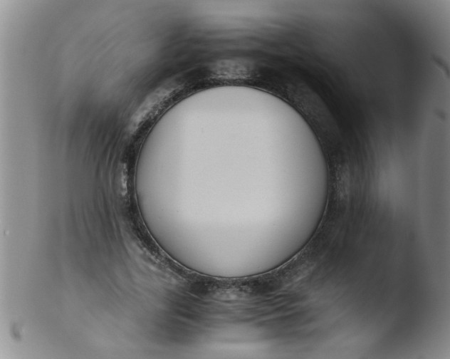 X0000103500731200809262013