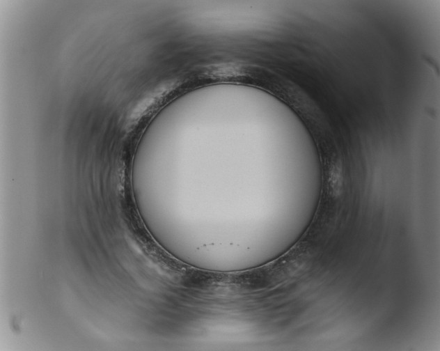 X0000103500732200809262013