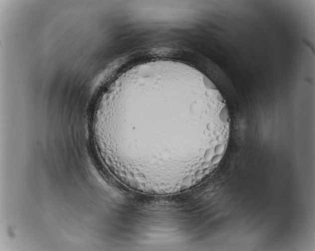 X0000103500734200809262013