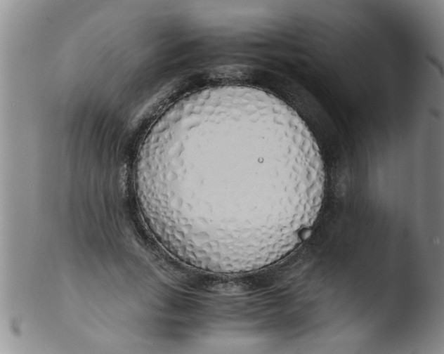 X0000103500735200809262013