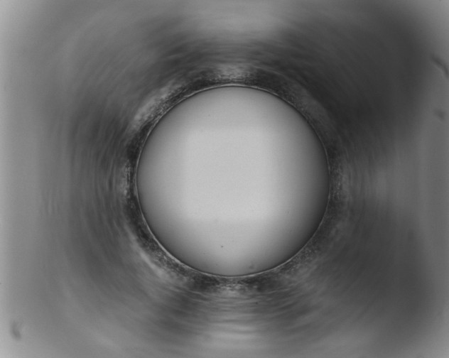 X0000103500736200809262013