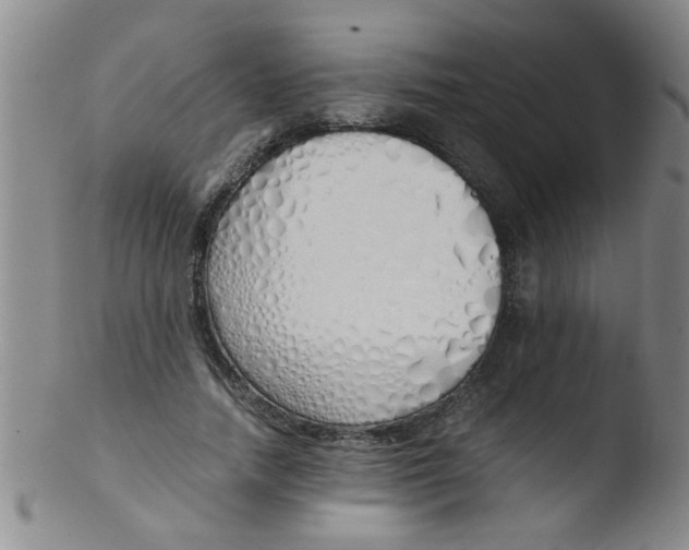 X0000103500738200809262013