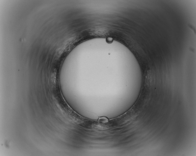 X0000103500739200809262013