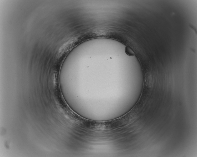 X0000103500740200809262013