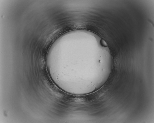 X0000103500741200809262013