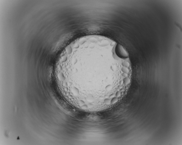 X0000103500742200809262013