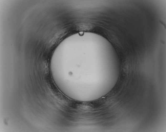 X0000103500743200809262013