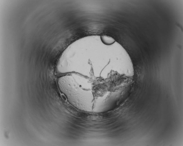 X0000103500745200809262013