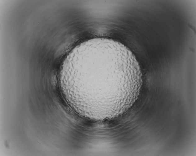 X0000103500746200809262013