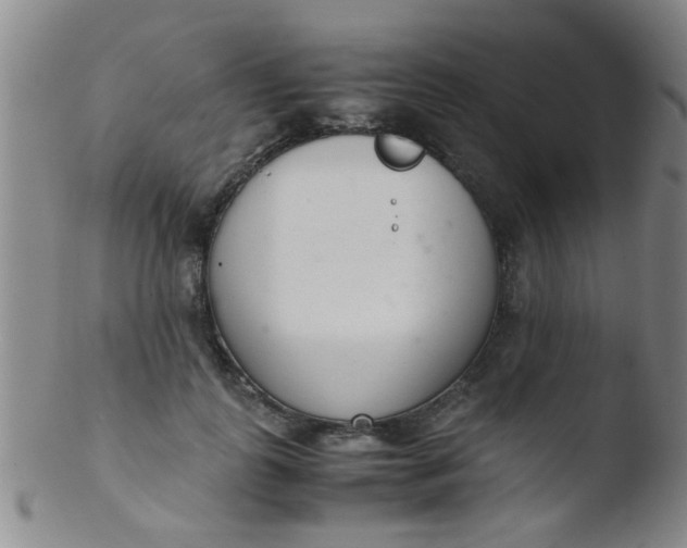 X0000103500747200809262013