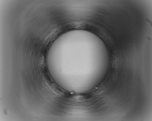 X0000103500748200809262013