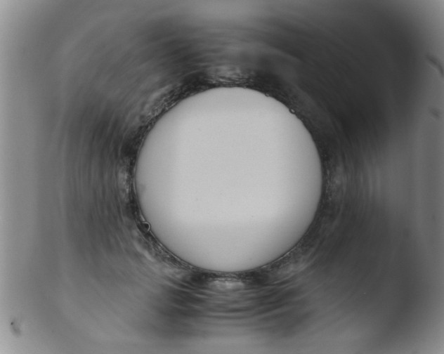 X0000103500749200809262013