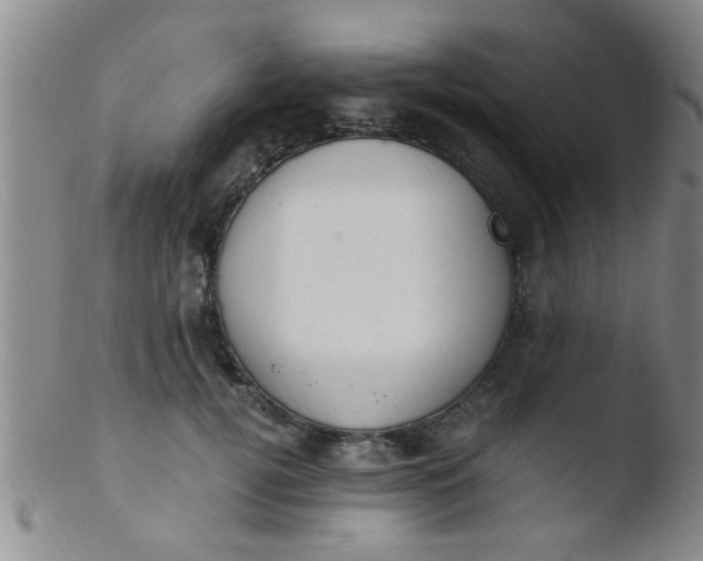 X0000103500752200809262013