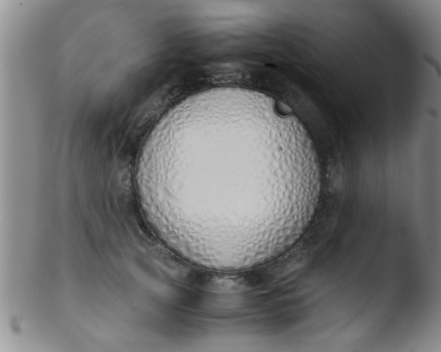 X0000103500753200809262013