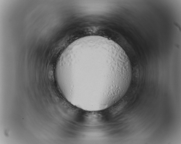 X0000103500754200809262013