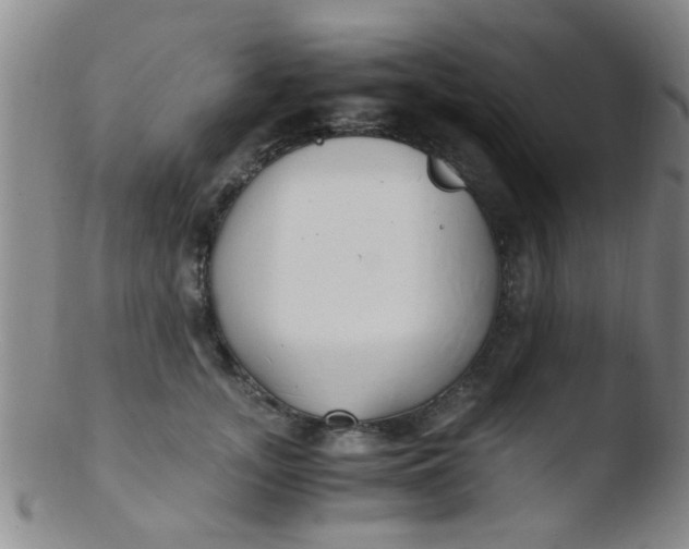 X0000103500755200809262013