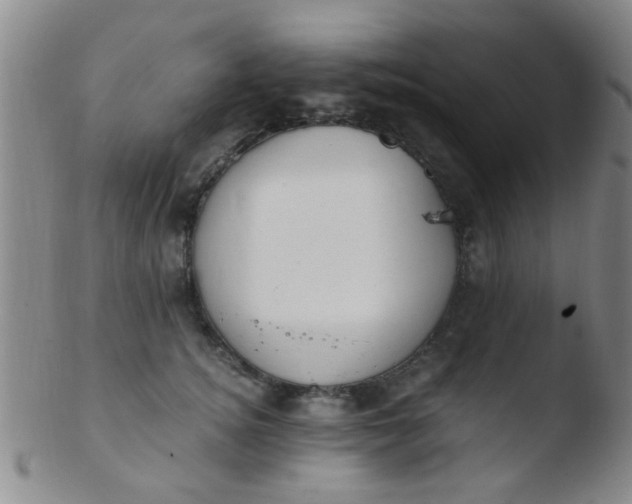 X0000103500756200809262013