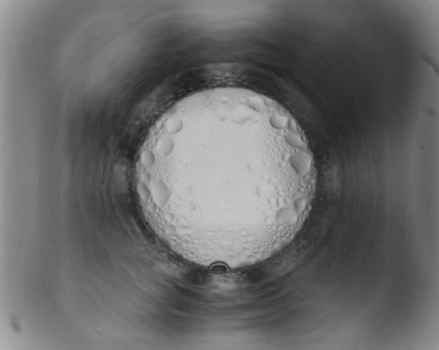 X0000103500757200809262013