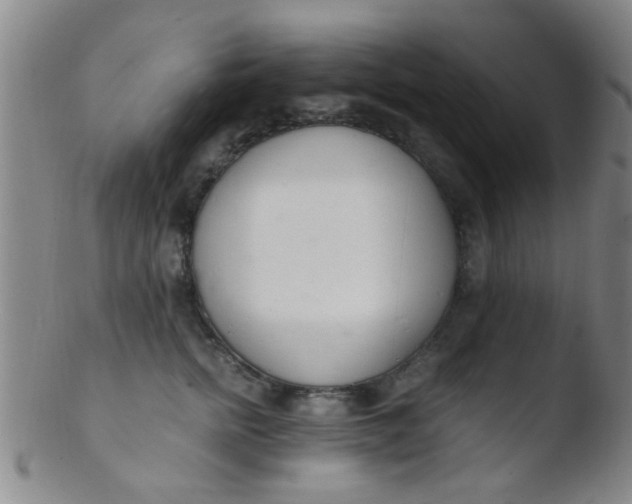 X0000103500758200809262013