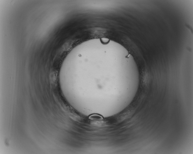 X0000103500759200809262013