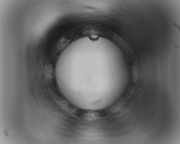 X0000103500760200809262013