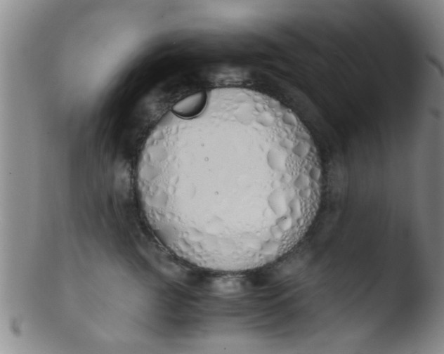 X0000103500761200809262013