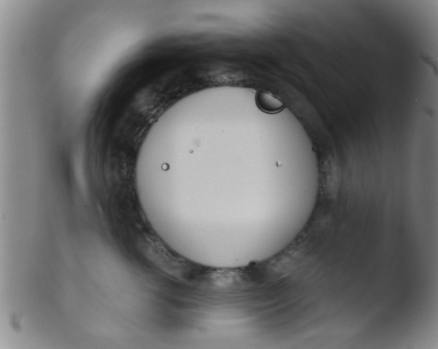 X0000103500762200809262013