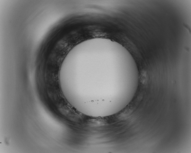 X0000103500763200809262013