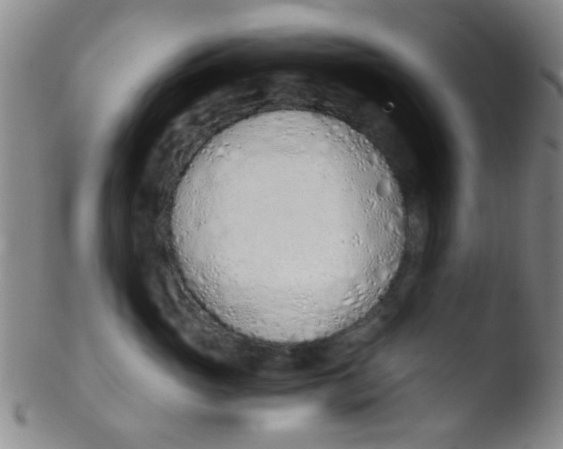 X0000103500765200809262013