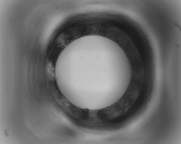 X0000103500766200809262013