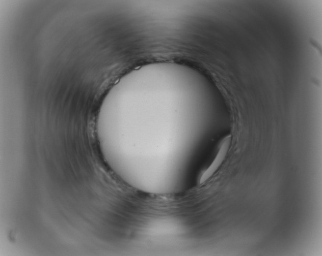 X0000103500768200809262013