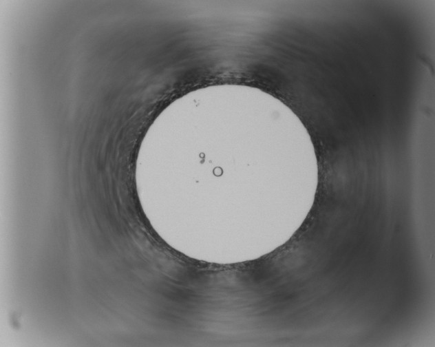 X0000103500769200809262013