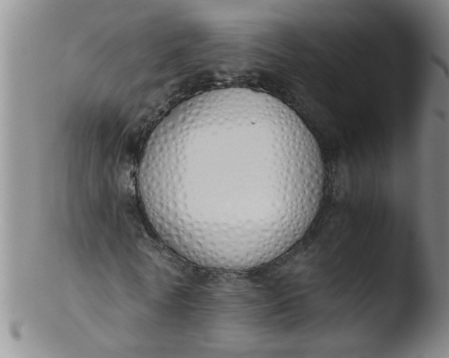 X0000103500770200809262013