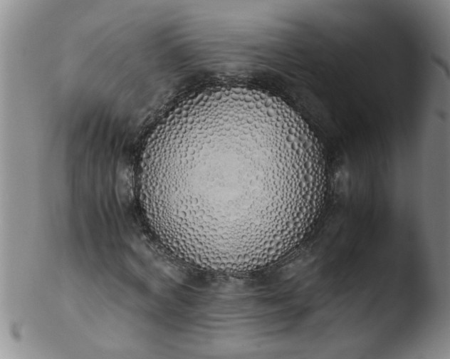 X0000103500772200809262013