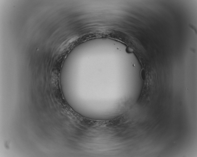 X0000103500773200809262013