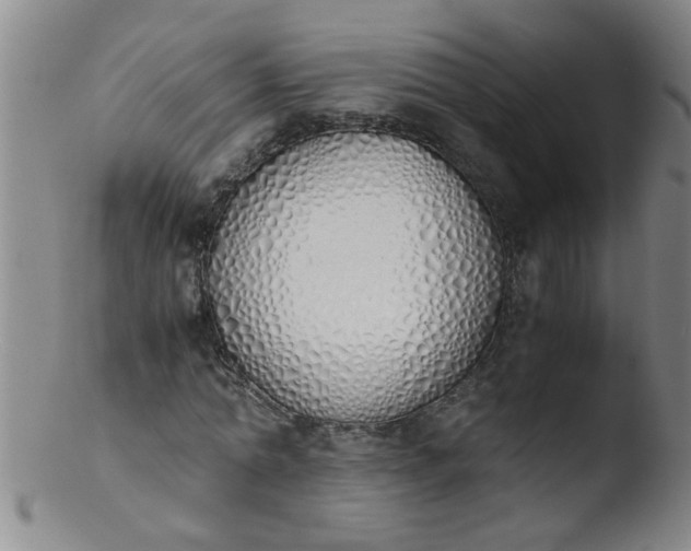 X0000103500774200809262013