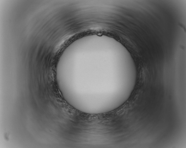 X0000103500776200809262013