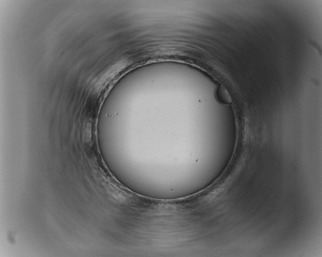 X0000103500777200809262013