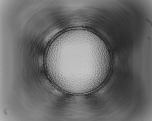 X0000103500778200809262013