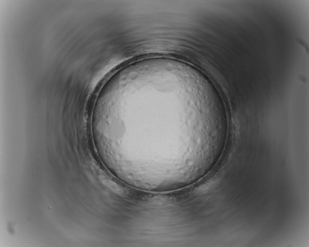 X0000103500779200809262013