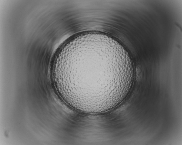 X0000103500780200809262012